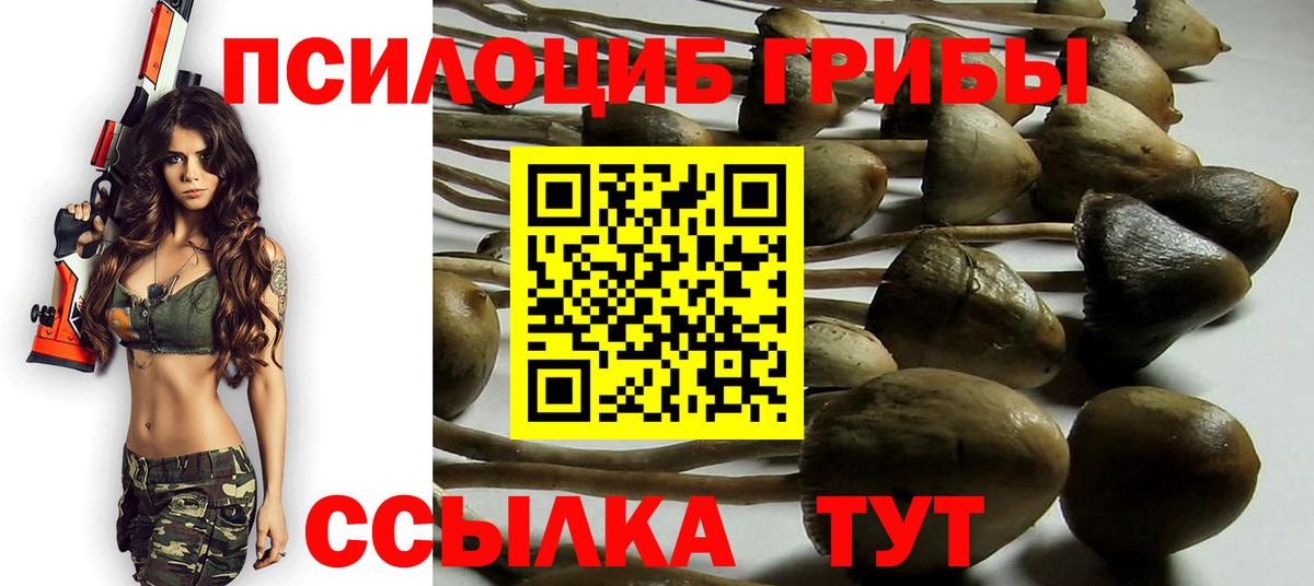 Воронеж  Галлюциногенные грибы GOLDEN TEACHER  Вход с VPN 
